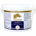 Equipur vit B12