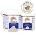 EQUIPUR vit B12 | Pferd | Vitaminmangel | Leistungsfähigkeit | 1 kg (Pulver)