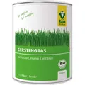 Raab Vitalfood Gerstengras, Pulver, 75 g