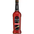 Riemerschmid Bar-Sirup Rhabarber (1 x 0.7 l)