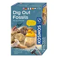 Kosmosfossilien herausarbeiten