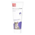 PHA Beruhigungspaste für Katzen · 100 ml · PZN 19225724
