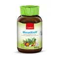 Jentschura WurzelKraft BIO (600g)