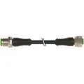 Murr Elektronik M12 Stecker (7000-40041-6350500)
