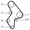 CONTINENTAL CTAM Wasserpumpe + Zahnriemensatz CT1061WP3 für CITROËN FIAT