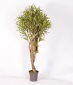 artplants.de Kunst Dracaena Reflexa Jamaica Kasandra, Naturstämme, grün-gelb, 200cm - Italy - Künstlicher Drachenbaum