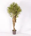 artplants Kunst Dracaena Reflexa Jamaica Kasandra, grün-gelb, 200cm