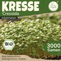Little Plants BIO Kresse Samen 3000 Kressesamen Cressida Kräutersamen für Kräutergarten Hochbeet Samenfest Kräuter Samen für Küche, Balkon und Garten Küchenkräuter