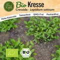 Kresse Samen (BIO) - 3000 Samen Kräutersamen Kressesamen Cressida