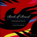 Birds of Brazil by Wellins, Bobby Quartet