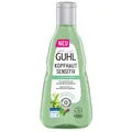 250ml Guhl Kopfhaut Sensitiv Shampoo trockene Haut Lindenblüten und Wasserminze
