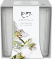 IPURO Duftkerze ipuro ESSENTIALS Duftkerze White Lily 125 g