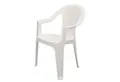 Spetebo Gartenstuhl Kunststoff Gartenstuhl anthrazit - 4er Set (Set, 1 St), Monoblock Stuhl in Rattan Optik