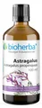 Bioherba Astragalus Astragalus propinquus Tropfen Tinktur 100 ml