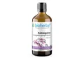 BIOHERBA R Bioherba Astragalus Astragalus propinquus Tropfen Tinktur 100 ml Tropfen, 1 er