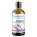 Bioherba Astragalus Astragalus propinquus Tropfen Tinktur 100 ml