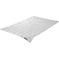 Badenia Daunendecke Trendline Comfort leicht 155 x 220 cm weiß - Weiß