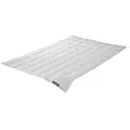 Badenia Trendline Comfort Daunendecke, Leichte Sommerdecke mit 90% Daunen & 10% Federn der Klasse I, 155 x 220 cm, Down Pass geprüft & Öko-Tex zertifiziert, produziert nach deutschem Qualitätsstandard