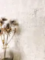 Newroom Tapete Grau Vlies Betonoptik - Industrial Putzstruktur Metallic Glanz für Wohnzimmer Schlafzimmer
