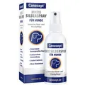 Canosept Mikro Silberspray für Hunde