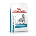 ROYAL CANIN Anallergenic AN18 8kg