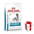 ROYAL CANIN Anallergenic AN18 8kg + Überraschung für den Hund