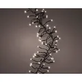 494773 Lumineo 2040 LEDs Beleuchtung Twinkle 8 Funktionen Outdoor 19m Warm Weiß