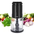 Zerkleinerer Küche elektrisch | Zwiebel Zerkleinerer | Food Processor mit 4 s...