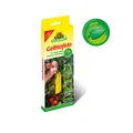 NEUDORFFs Gelbtafeln 7er Pack.