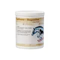 EquiPower Magnesium | 750 g | Ergänzungsfuttermittel für Pferde | Mit Tryptophan & Vitamin B12