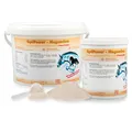 EquiPower Magnesium 750 g | Pferd Nerven, Verbesserung des Wohlbefindens