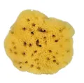 Naturschwamm, Natur, ca. 8 cm
