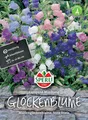 Glockenblumen Campanula medium SPERLING`s Campana Mischung