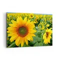 Wandbilder 100x70cm Leinwandbild Wolken Sonnenblumen Plantagen Bilder Wanddeko