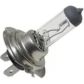 2 Glühbirnen H7 12V 55W Autobirne Glühlampe Neu