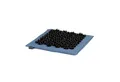 bodhi Yogamatte VITAL Akupressur Fußreflexzonenmatte SOFT blau