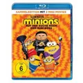 Minions-Auf der Suche nach dem Mini-Boss - Keine Informationen