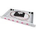 Telegärtner Karl Gärtner Spleissbox bestückt 24xLCD 50/125OM4 1HE TNSB-Be-24LC (H02030A0690)