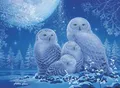 Ravensburger Puzzle 12000479 - Eulen im Mondschein - 500 Teile Puzzle für Erwachsene und Kinder ab 12 Jahren, Tier-Puzzle