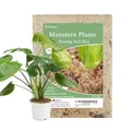 Yilotuce 2 Liter Monstera Erde, Langanhaltende feuchtigkeitsspendende Blumenerde zum Umtopfen und Wachsen von Monstera Deliciosa/Schweizer Käse-Pflanzen