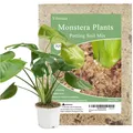 Monstera Blumenerde, 2L, Feuchtigkeitsregulierend, Drainsierende Erde, geeign...