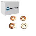 Dr.motor Automotive DRM0199S - Dichtungssatz, Einspritzdüse
