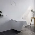 Dusch-wc Pro+ 1104 Weiß Spülrandlos Eckig Komplettanlage - Bernstein