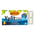 Birkengold - Kaugummi Icemint 12 Stück - 17 g - 24er Pack