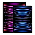 Apple iPad Pro 12,9" Wi-Fi 2022 128 GB space grau Sehr guter Zustand **