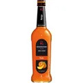 Riemerschmid Bar-Sirup Mango 0,7 Liter