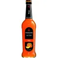 Riemerschmid Bar-Sirup Mango Geschmack 0,7L