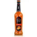 Riemerschmid Bar-Syrup Mango 0,7 Liter