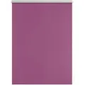 LICHTBLICK Thermo-Rollo Klemmfi, Fuchsia, 40x150 cm