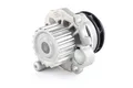 RIDEX 1260W0035 Kühlmittelpumpe Motorkühlung Wasserpumpe 19-Zähn Kompatibel mit VW Golf IV Schrägheck 1J1 038121011 038121011AX 038121011A